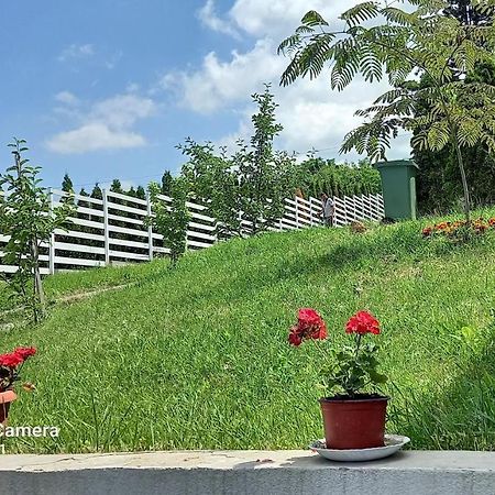 Fruskogorska Idila Apartmani Vrdnik Buitenkant foto