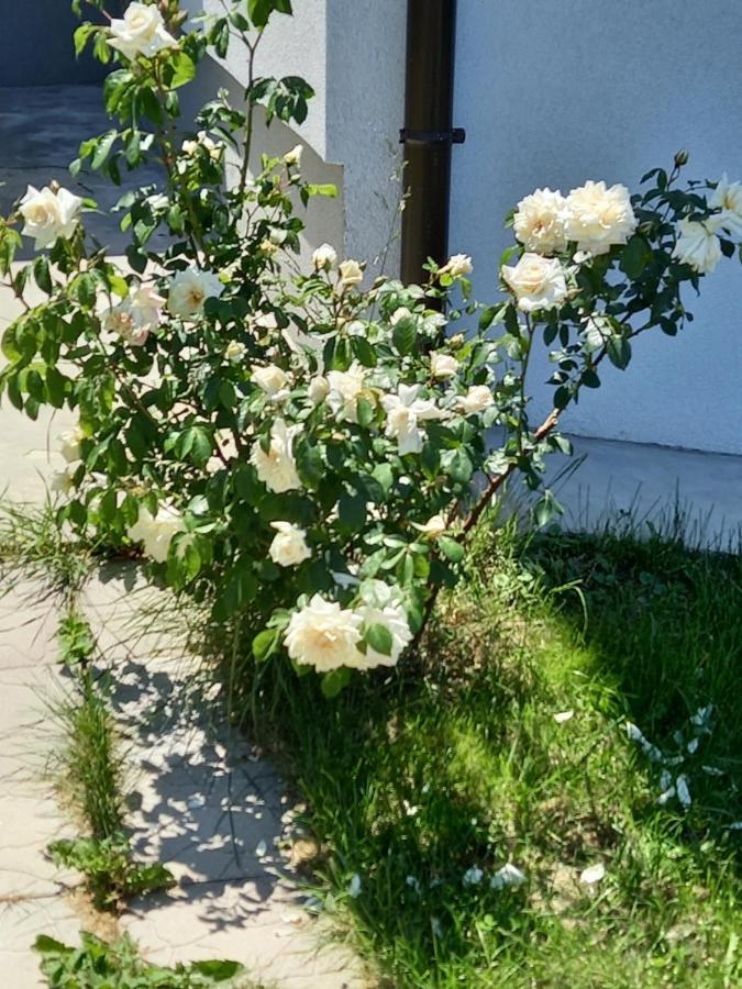 Fruskogorska Idila Apartmani Vrdnik Buitenkant foto